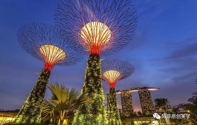 新加坡的海湾空中花园，好美！