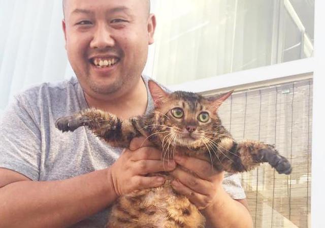 主人带喵星人去朋友家洗白白，没想到朋友和猫意外长得好像亲生的