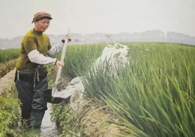 那些光听名字，白云人就秒懂的地名特产！你知道几种？