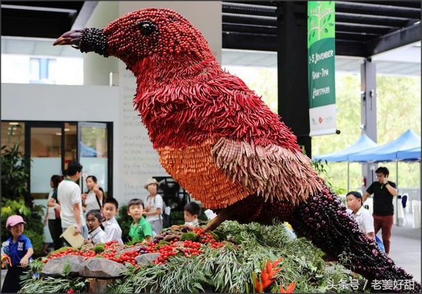 花园节以蔬果设计 展现甘榜生态及高楼种植