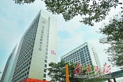 80后90后 博士造梦绿岛湖
