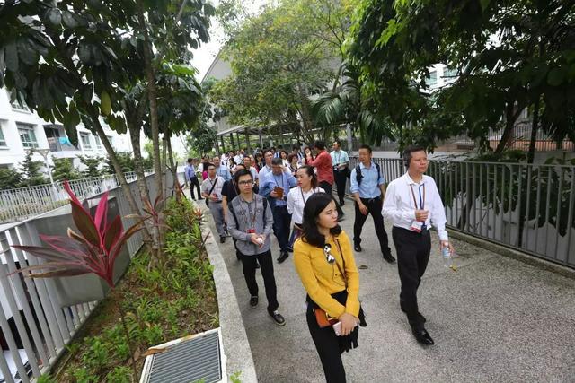 「商业大佬游学纪」凯德的一天，在雨中邂逅新加坡商业