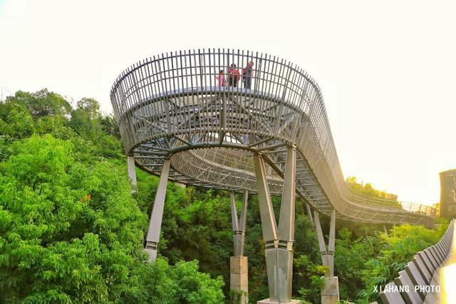 中国最美的空中森林步道，花费上亿打造，免门票风景如画