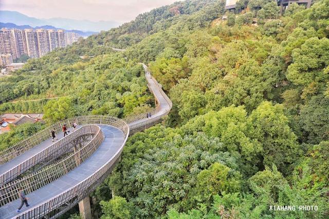 中国最美的空中森林步道，花费上亿打造，免门票风景如画