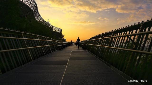 中国最美的空中森林步道，花费上亿打造，免门票风景如画