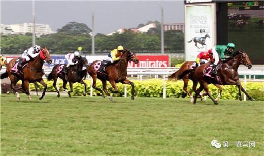 “镀金情结”金梦成真，后来居上赢下新加坡金杯冠军