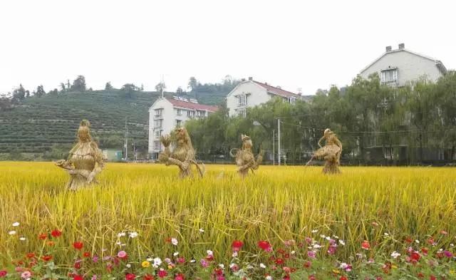 土特产一条街、亲子运动会、旗袍秀……渔山稻香节明天启幕！明早9点半一起看直播！