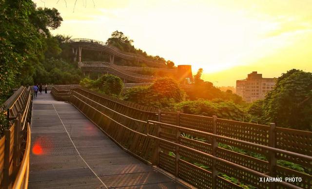 中国最美的空中森林步道，花费上亿打造，免门票风景如画