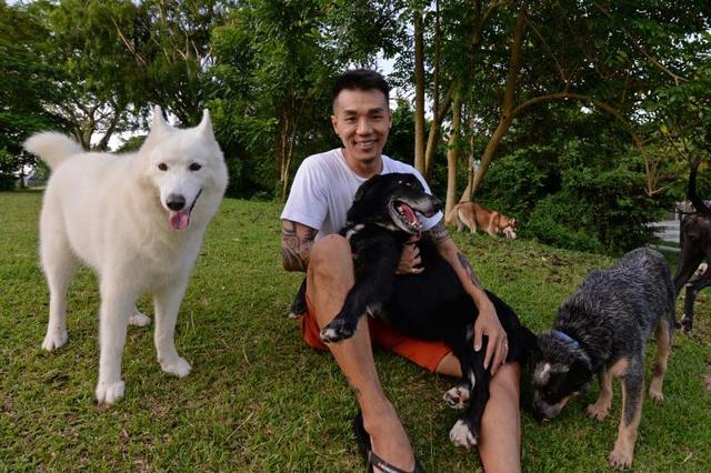 新加坡宠物达人，不仅收养流浪狗还“养”穷家庭