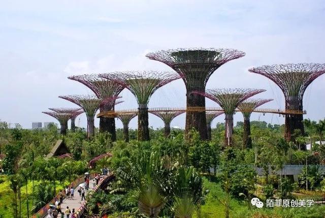 新加坡的海湾空中花园，好美！