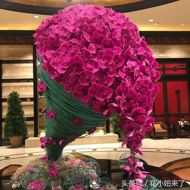 马来西亚歌手茜拉在蝴蝶兰花海中公布婚讯，宛若仙子神圣而美丽