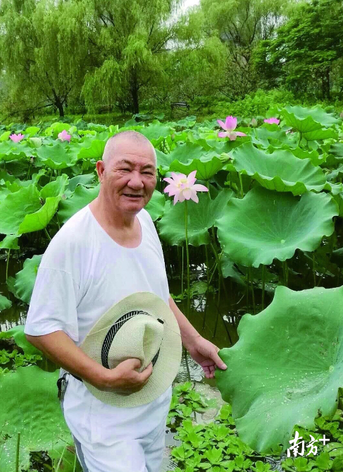 美不胜收！赏荷就来东莞石碣袁崇焕纪念园