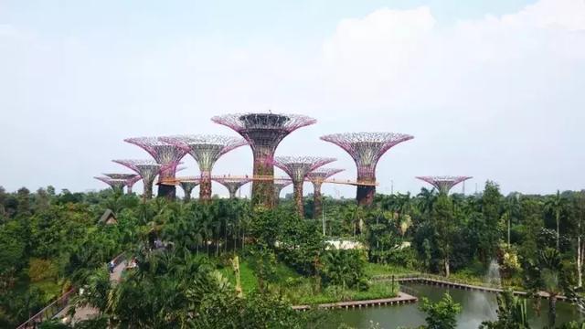 去新加波旅游，体验花园城市享受狮城慢生活