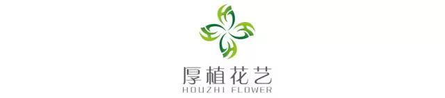 门店花艺｜网红蛋糕店内的清爽花艺布置