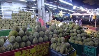 新加坡居然有这么多好玩的地方