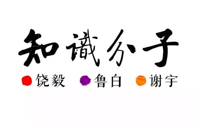 流动人口与“深圳奇迹”：一个中国城市发展样本｜缪斯夫人
