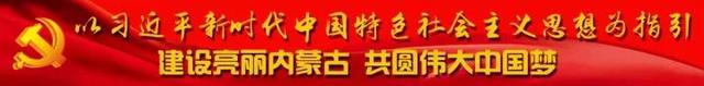 这个冬天不太冷——240名“金海豚”齐聚鄂尔多斯市体育中心上演年度游泳大戏