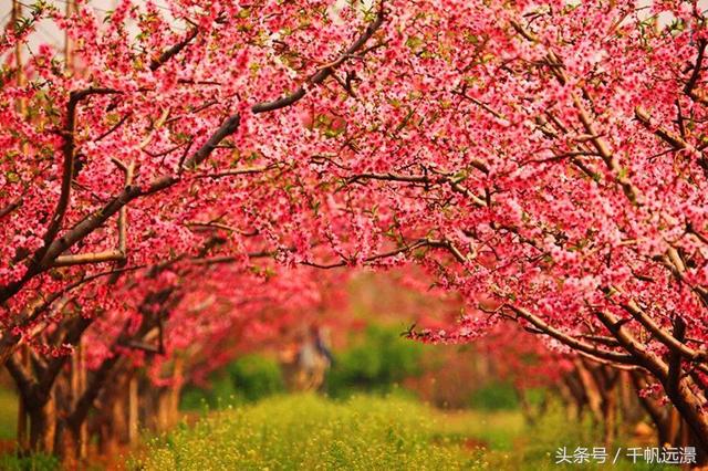 千帆远澋2017旅行总结：这一年走过的路