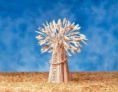 这家上市公司主业是种蘑菇 拟发债募资9.2亿 4.4亿投向安阳项目