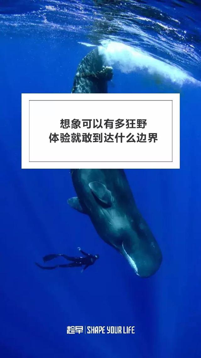 你们的想象一点都不狂野！