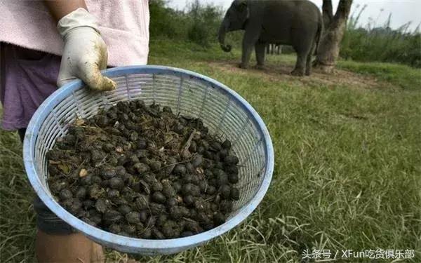 用“屎”煮的咖啡也有人花钱喝？