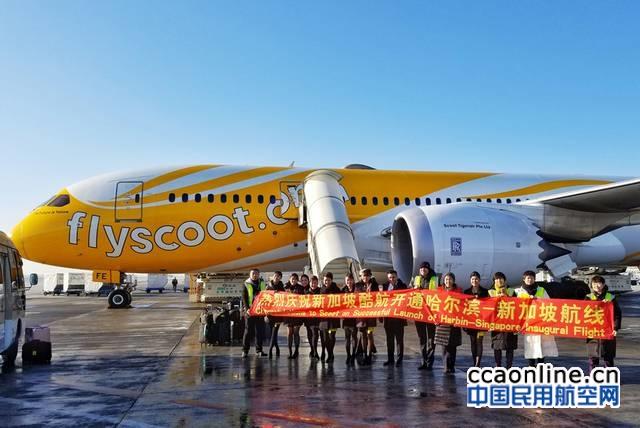 哈尔滨-新加坡航线正式开通，酷航每周执飞三班