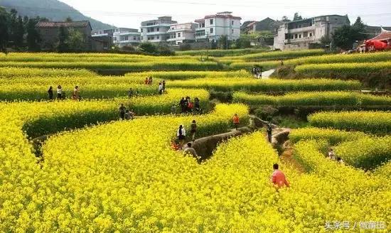 莆田涵江和莆田荔城这两美丽乡村火了，入选福建二十佳旅游特色村