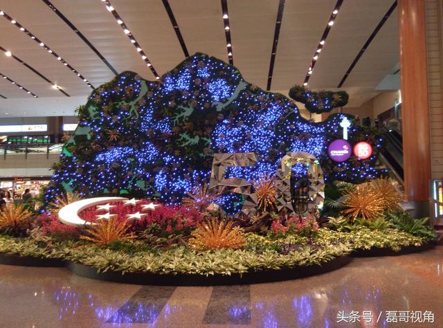 带你看美如画的新加坡樟宜机场