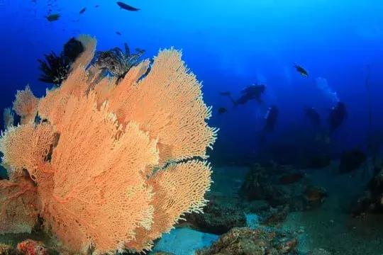 泰国小众目的地甲米：这里没有人山人海，只有蓝天碧海