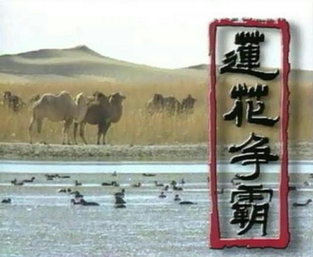 经典新加坡武侠剧《莲花争霸》无怨无悔我走我路，走不尽天涯路！