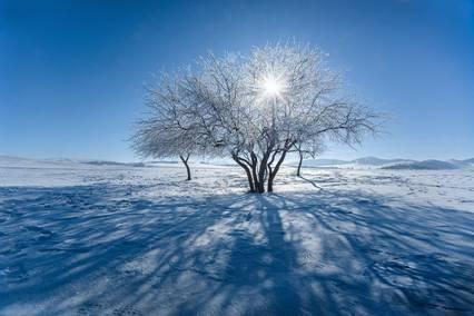 寒冬已至冰雪忙 多地为宣传雪景出大招