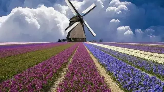 如果重庆11个区各代表一个国家，我竟然住在英国