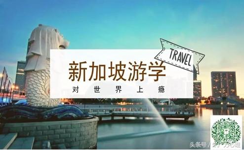 2月9-14日不一样的研学新加坡全真课堂体验营（6天5晚）