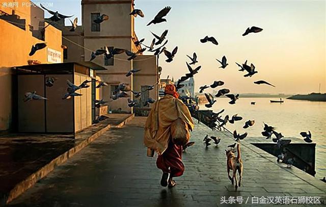 「一切皆与旅行有关」旅行必备语录