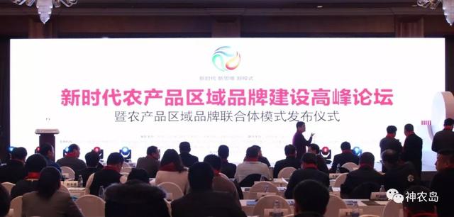 丁辉：特色产业不上升为优质产品、品牌产品是没有出路的
