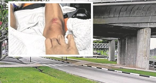 简直刷新对新加坡司机的认知！撞飞人居然还说：“以为是一只狗”