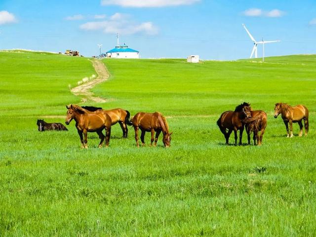 去哪里旅行桃花运更旺？更易结良缘？12生肖旺桃花国家攻略！