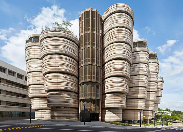 新加坡A水准什么时候出？申请新加坡大学得知道这些