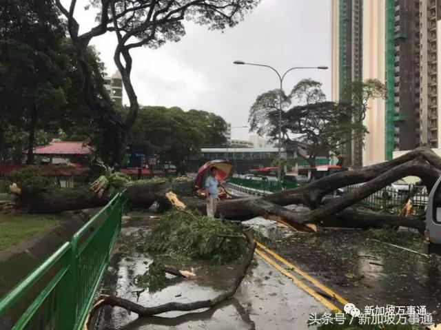 告急：新加坡突发大水，数百万人遭殃！