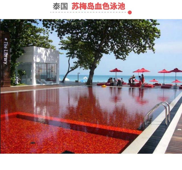 七个最恐怖的泳池，你敢游上一番吗？