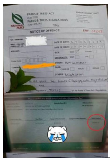 肉疼！路边的野花真的不要采，新加坡外劳被罚近2000新