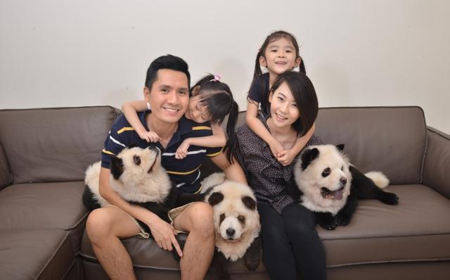 狗狗被染成“大熊猫”，真假难辨走红成“明星”