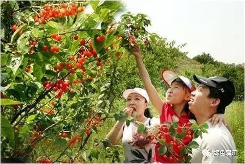 厉害！蒲江县被列为第一批国家有机食品生产基地建设示范县（试点）