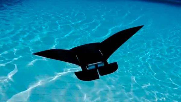 新加坡研发“魔鬼鱼”机器人：或可用于执行搜索侦察任务