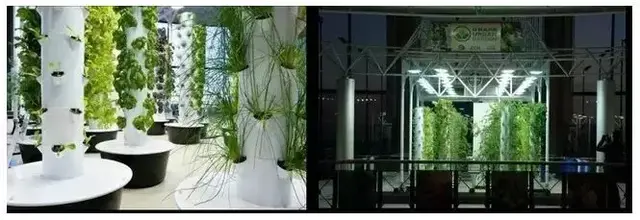 农业嘉年华的顶级科技梦