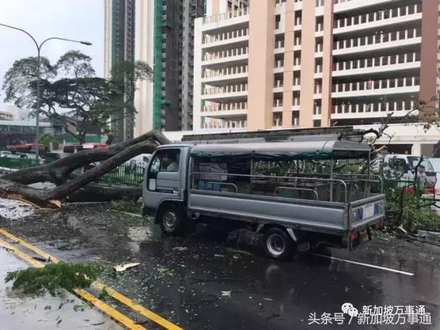 告急：新加坡突发大水，数百万人遭殃！