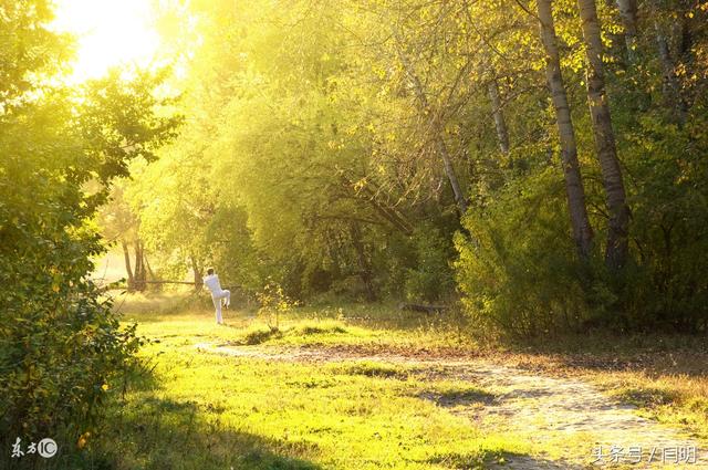 让自己“静”下来的五字秘诀，受益终身