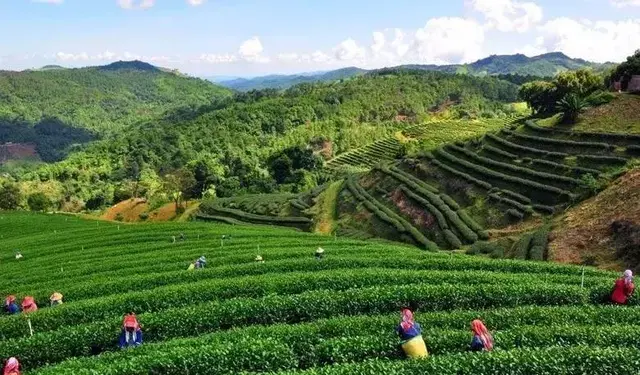 泰国的中国村：美斯乐