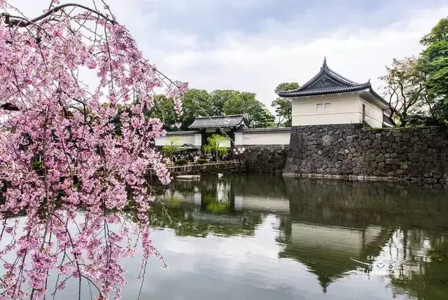 「樱花狩」去日本赏樱吧，即刻开启这趟旅行~