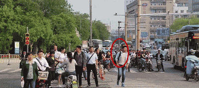 狗过马路引发人深思？这事儿发生在新加坡会怎么样？